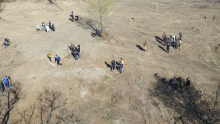 Кадър, заснет от въздуха с дрон, на който се виждат групите засаждащи дръвчета