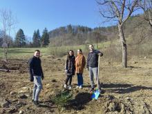 Кадър от засаждане на дръвчета в парк, виждат се трима участници, един от които държи дръвче и ще го засажда в изкопаната дупка. Слънчево е и небето е ясно и синьо.