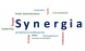 Лого на проект Синергия, изписано централно с латински букви Synergia, заобиколено от други думи, свързани с управлението и развитието