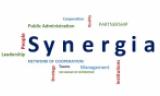 Лого на проект Синергия, изписано централно с латински букви Synergia, заобиколено от други думи, свързани с управлението и развитието